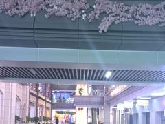 -极致童蒙轮滑运动中心(五环店)