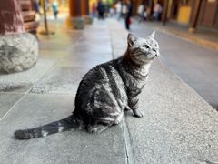 -龙华寺