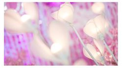-IDOI婚礼策划·IDOIWEDDING