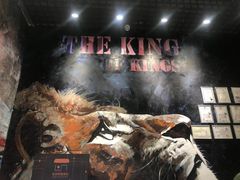 -SAH健身私教工作室(紫东店)