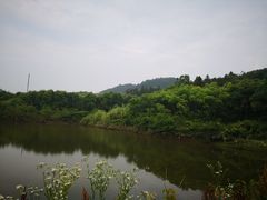 -青龙山国家森林公园