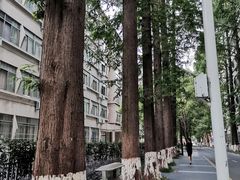 -南京航空航天大学(明故宫校区)