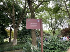 -西湖游船