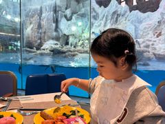 -帝企鹅自助餐厅•儿童岛•真企鹅(长隆企鹅酒店)