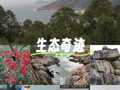 -广东惠东海龟国家级自然保护区