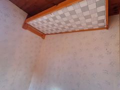 -金山农民画村-枫泾波兰倒置屋