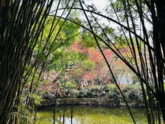 -棠湖公园