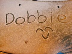 -滴血救世主教堂