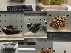 -中国地质博物馆
