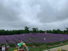 -同里国家湿地公园