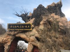 -大槐树寻根祭祖园