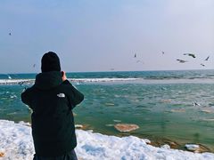 -东戴河风景区