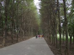 夏天赛罕塔拉-赛汗塔拉风情园