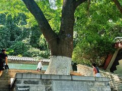 -千佛山风景名胜区
