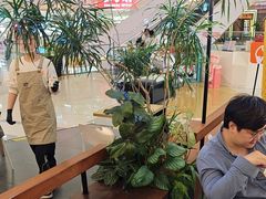 -野人先生Gelato(上海长宁龙之梦店)