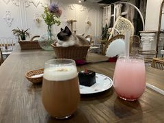 -共舞时光猫咖·狗咖(新街口店)