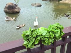-厦门悦华酒店