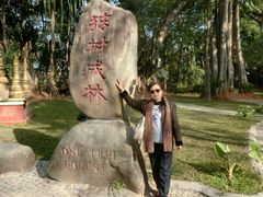 -瑞丽独树成林风景区