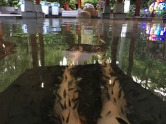 -天目湖御水温泉·度假酒店