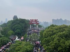 -黄鹤楼公园(黄鹤楼)