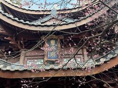 -韬光茶庵