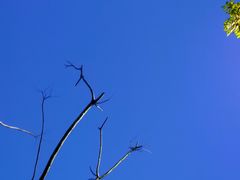 -深圳湾公园(南山区)