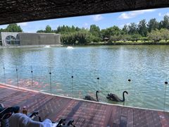 -春晖园度假酒店温泉