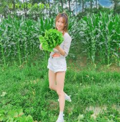 -前小桔亲子创意农场·草莓采摘·露营烧烤