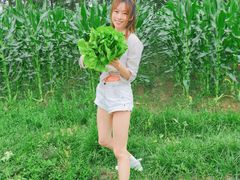 -前小桔亲子创意农场·草莓采摘·露营烧烤