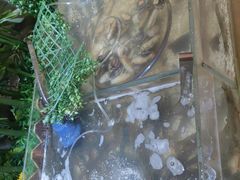 -上海神旺大酒店