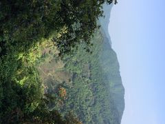 iphone_upload_pic-西湖风景区十里琅珰-五云山