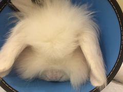 -美迦爱-牙专科·兔科·骨科诊疗中心(北苑店)