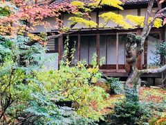 -常寂光寺