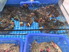 -东舜赶海·胶东海鲜家常菜(奥体中心店)
