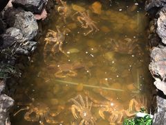 -綱元·海鲜豆捞(明州里店)