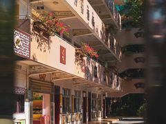 -小洲村