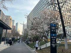 -南京鼓楼医院(鼓楼本部)
