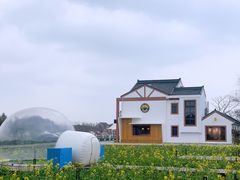 -MUSEO COFFEE咖啡博物馆