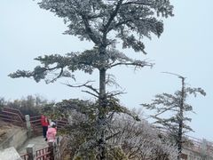 -峨眉山风景名胜区