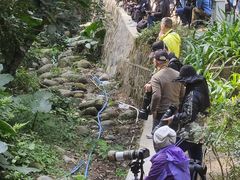 -火炉山森林公园