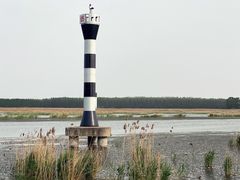 -微山湖红荷湿地景区