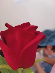 -涌泉妈咪树通乳·产后恢复