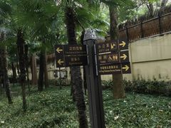 -徐家汇源景区-衡山公园