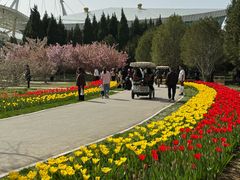 -石家庄市植物园