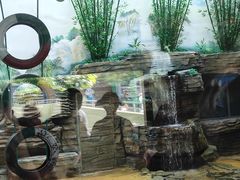 -成都动物园