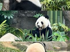 -香港海洋公园