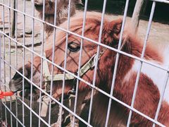 -武汉紫薇都市田园