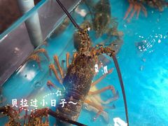 -拉完海鲜大排档(温岭店)