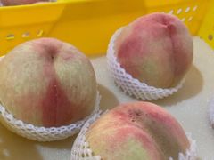 -老袁家蜜桃农场·阳山水蜜桃