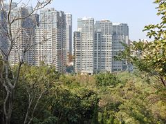 -石排湾郊野公园